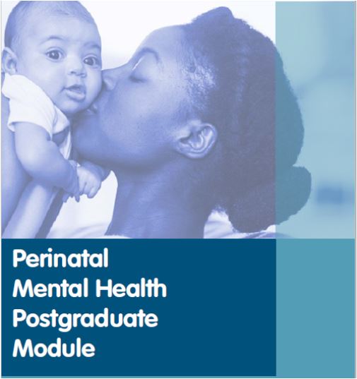 Perinatal Mental Health Postgradate Module cover