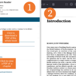 Instructions with screenshots showing how to get full text from a Wiley ebook